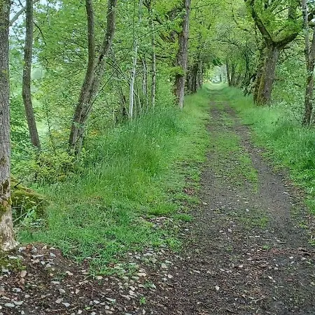 Du Cheval Blanc Appartement *